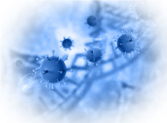 HPV Virus